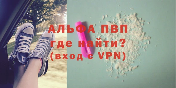амф Новодвинск
