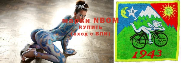 амф Новодвинск