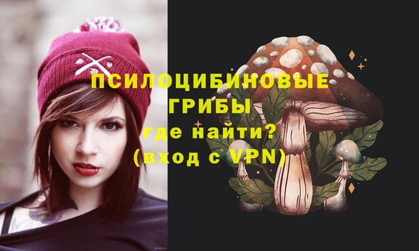 амф Новодвинск