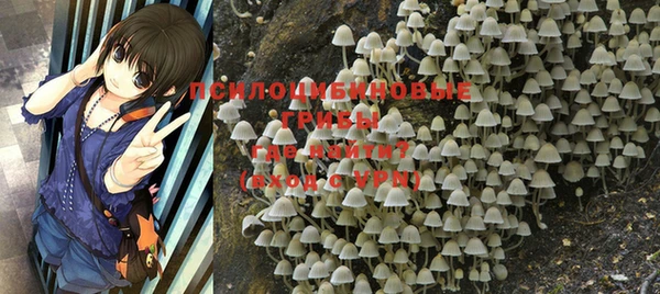 меф Новозыбков