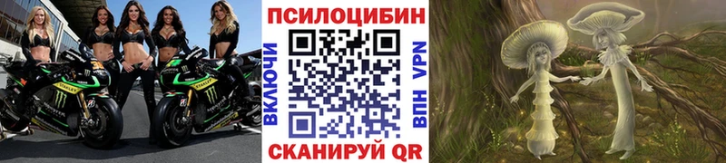 нарко площадка как зайти  Кисловодск  Псилоцибиновые грибы прущие грибы  закладки 